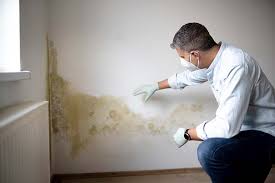 Why You Should Choose Our Mold Remediation Services in Kekoskee, WI